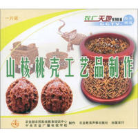 山核桃壳工艺品制作（VCD）