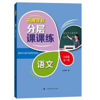 名牌学校分层课课练 语文专项训练 九年级全一册