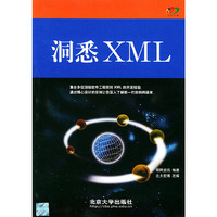 洞悉 XML