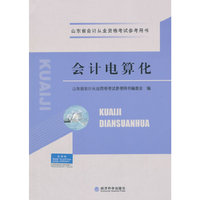 会计电算化