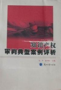 知识产权审判典型案例评析