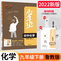 2022春少年班九年级化学鲁教版下册同步课时训练 初中9年级化学lj版必刷题培优练习册一课一练衔接中考复习资料