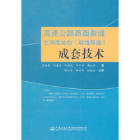 高速公路路面裂缝全深度处治(裂缝焊接)成套技术