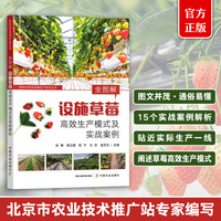 全图解设施草莓高效生产模式及实战案例