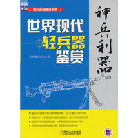 神兵利器-世界现代轻兵器鉴赏