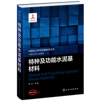 先进化工材料关键技术丛书--特种及功能水泥基材料