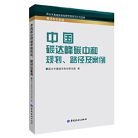 中国碳达峰碳中和规划、路径及案例
