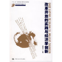 改革开放的实践与经济学创新（中国经济问题丛书；“十一五”国家重点图书出版规划）