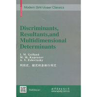 判别式.结式和多维行列式