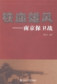 铁血雄风:南京保卫战