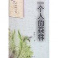 欣资鉴水风筝文丛—一个人的森林（单色）