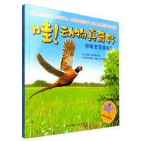 哇！动物真奇妙：你能发现我吗？