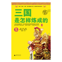 三国是怎样炼成的 5