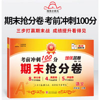 小学期末复习 冲刺100分 期末抢分卷3年级 语文 上册