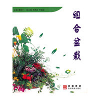 组合盆栽