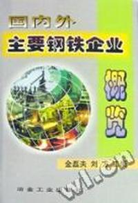 国内外主要钢铁企业概览