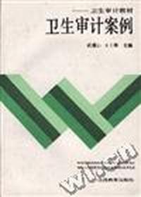 卫生审计案例