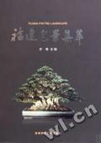 福建盆景集萃