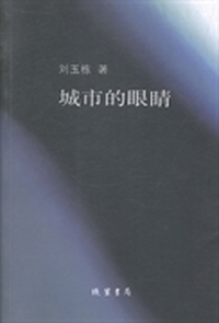 城市的眼睛