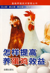 怎样提高养蛋鸡效益