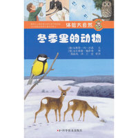 冬季里的动物-体验大自然