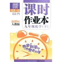 课时作业本 9年级化学下(新课标人教版)（2010年11月印刷）