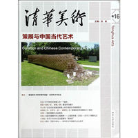 清华美术卷16——策展与中国当代艺术