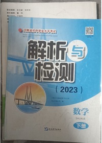 河南省初中学业永平考试解析与检测  数学  下册