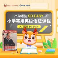 小学实用英语语法课程