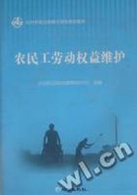 农民工劳动权益维护
