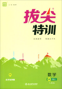 通城学典·拔尖特训：数学（四年级上 人教版）