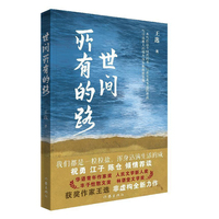 世间所有的路（一本写给这个时代的书，写在你我命运的背面，写尽边缘人的烟火流年和歧路多艰）