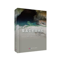 覆盖性岩溶研究