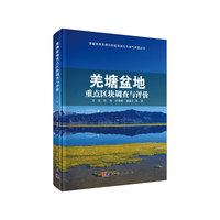 羌塘盆地重点区块调查与评价