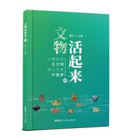 《文物活起来》(AR版)
