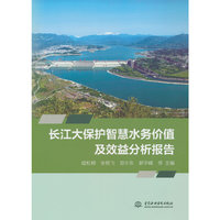 长江大保护智慧水务价值及效益分析报告