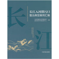 长江入河排污口整治典型案例汇编