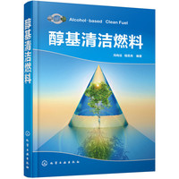 醇基清洁燃料