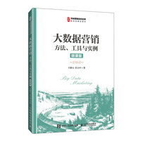 大数据营销(微课版）方法、工具与实例