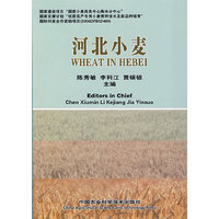 河北小麦