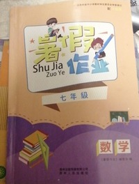暑假作业、七年级数学：配人教版