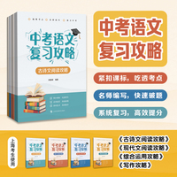 中考语文复习攻略（套装4册，古诗文阅读+现代文阅读+综合运用+写作）