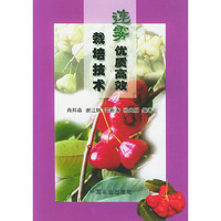 连雾优质高效栽培技术