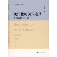 现代化的模式的选择