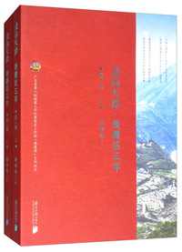 走向天路：援藏这三年（第二辑·上下）