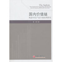 国内价值链-构建中的产业升级机理研究