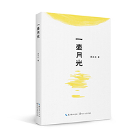 一壶月光