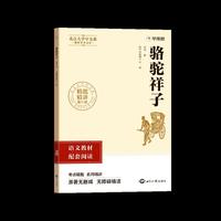 初中名著 骆驼祥子