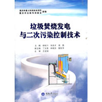 垃圾焚烧发电与二次污染控制技术