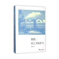 美国.天上飞机在飞